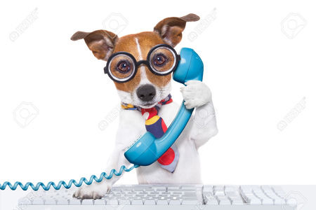gallery/perro llamando por telefono